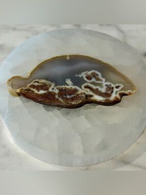 Brazilian Agate Slice Turtle Shaped Display Piece with Druzy Edge